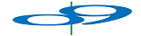 O9 Solutions Management India Private Limited